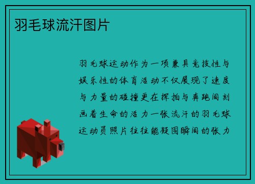 羽毛球流汗图片