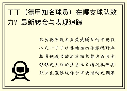 丁丁（德甲知名球员）在哪支球队效力？最新转会与表现追踪